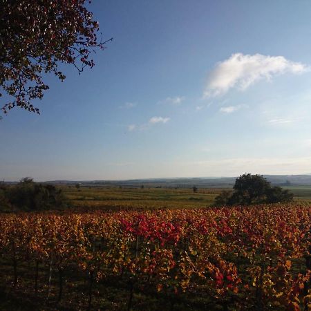 Ferienwohnung Weingut Wagner Leodagger Exterior foto