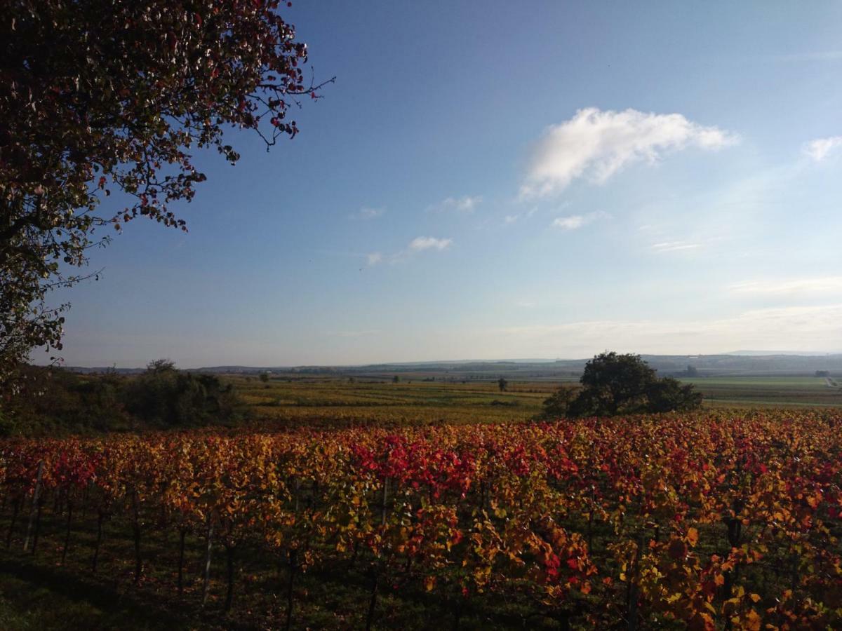 Ferienwohnung Weingut Wagner Leodagger Exterior foto